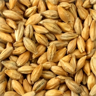 Imagem obtida no site da WE Consultoria