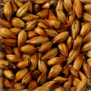 Imagem obtida no site da WE Consultoria