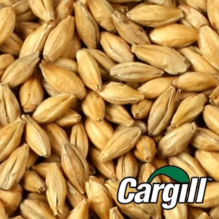 Imagem obtida no site da WE Consultoria