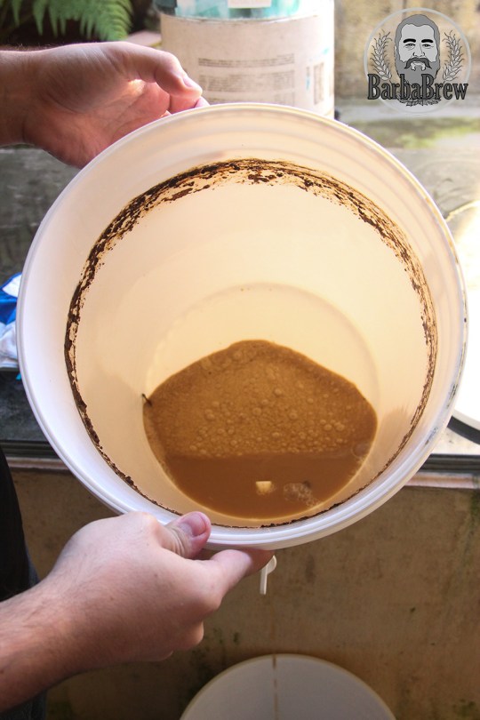 Fermento sedimentado