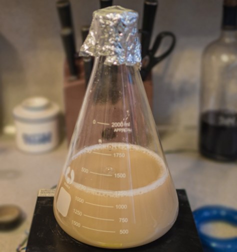 Hidratação do Fermento